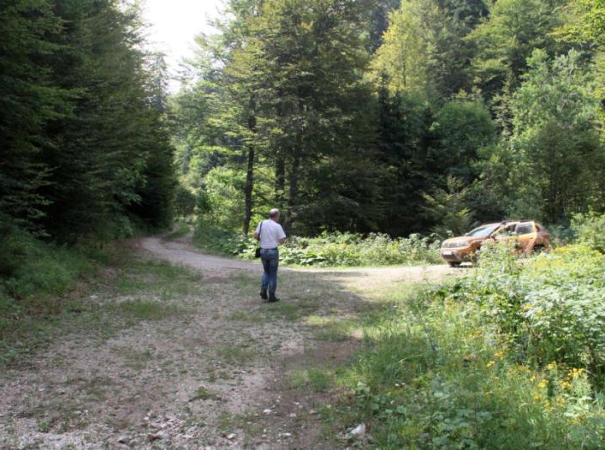 Zbog bitke za tendere, vlasnici privatnih šuma u RS će ostati bez ogreva