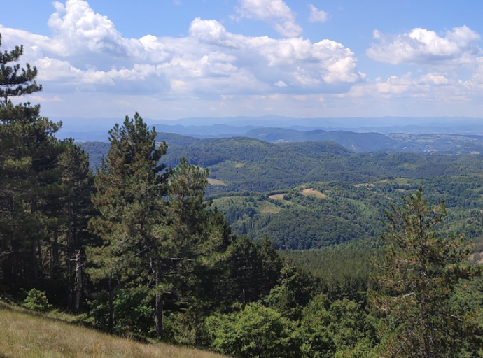 Nova otkrića prirodnih fenomena na Ozrenu u sjeni rastuće represije i mogućeg rudarenja