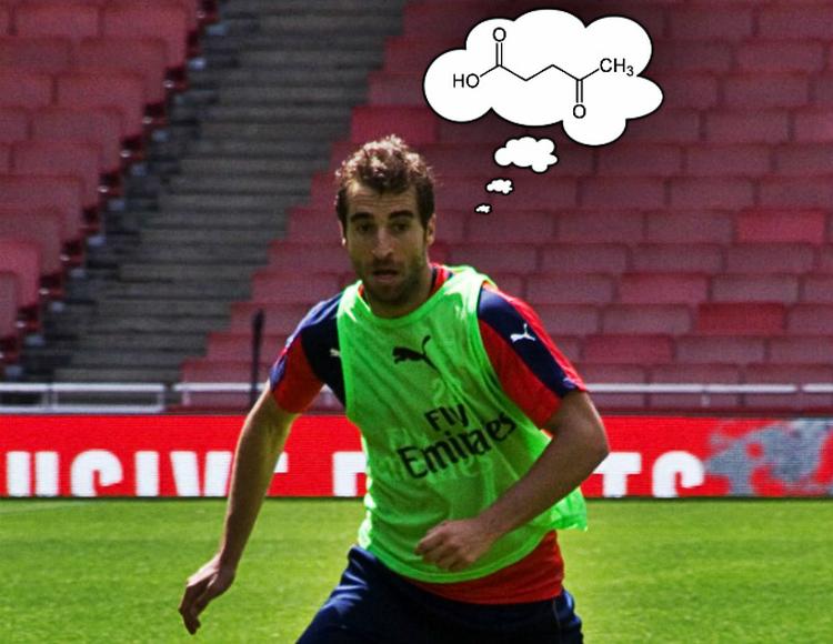 Flamini