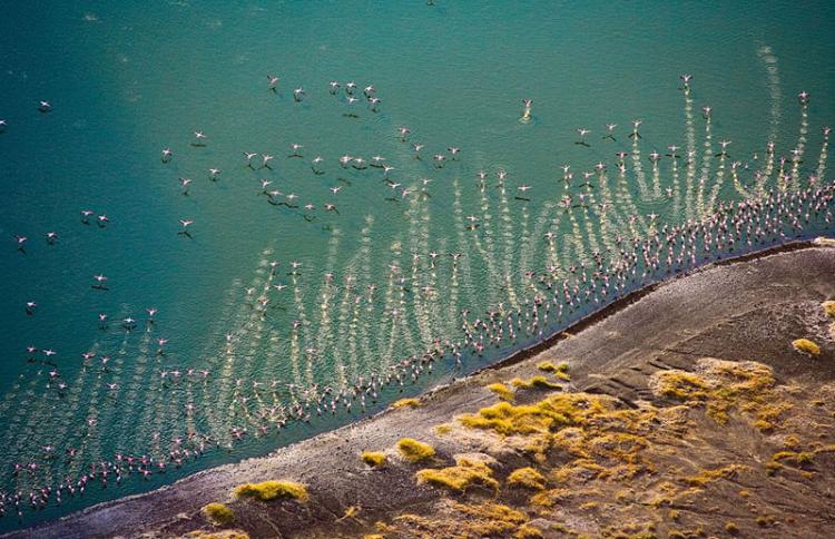 Jezero Turkana 3