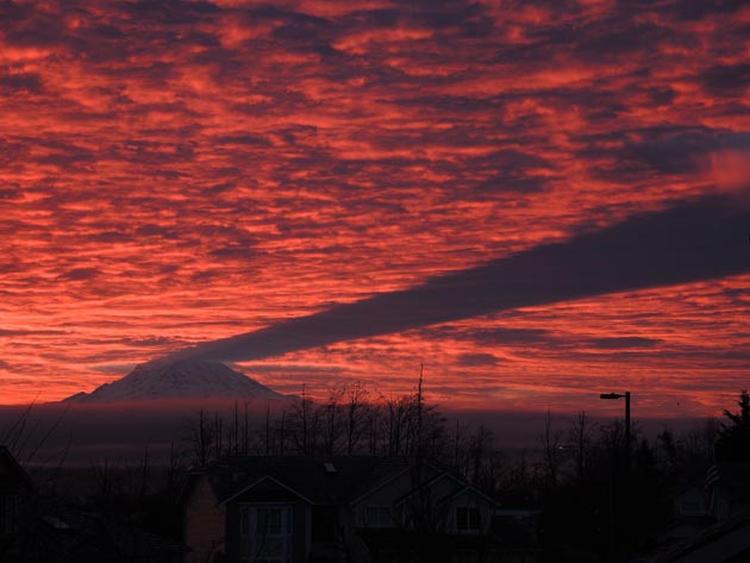 Mount Rainier sjenka 2