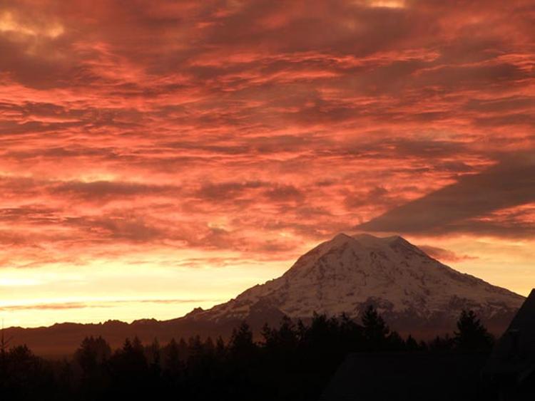 Mount Rainier sjenka 7