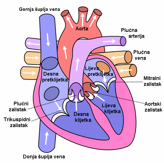 Grada srca