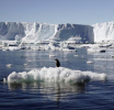 Led na Antarktiku ekstremno nizak, naučnici upozoravaju da to može imati strašne posljedice