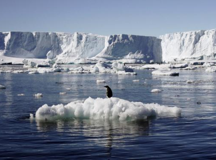 Led na Antarktiku ekstremno nizak, naučnici upozoravaju da to može imati strašne posljedice
