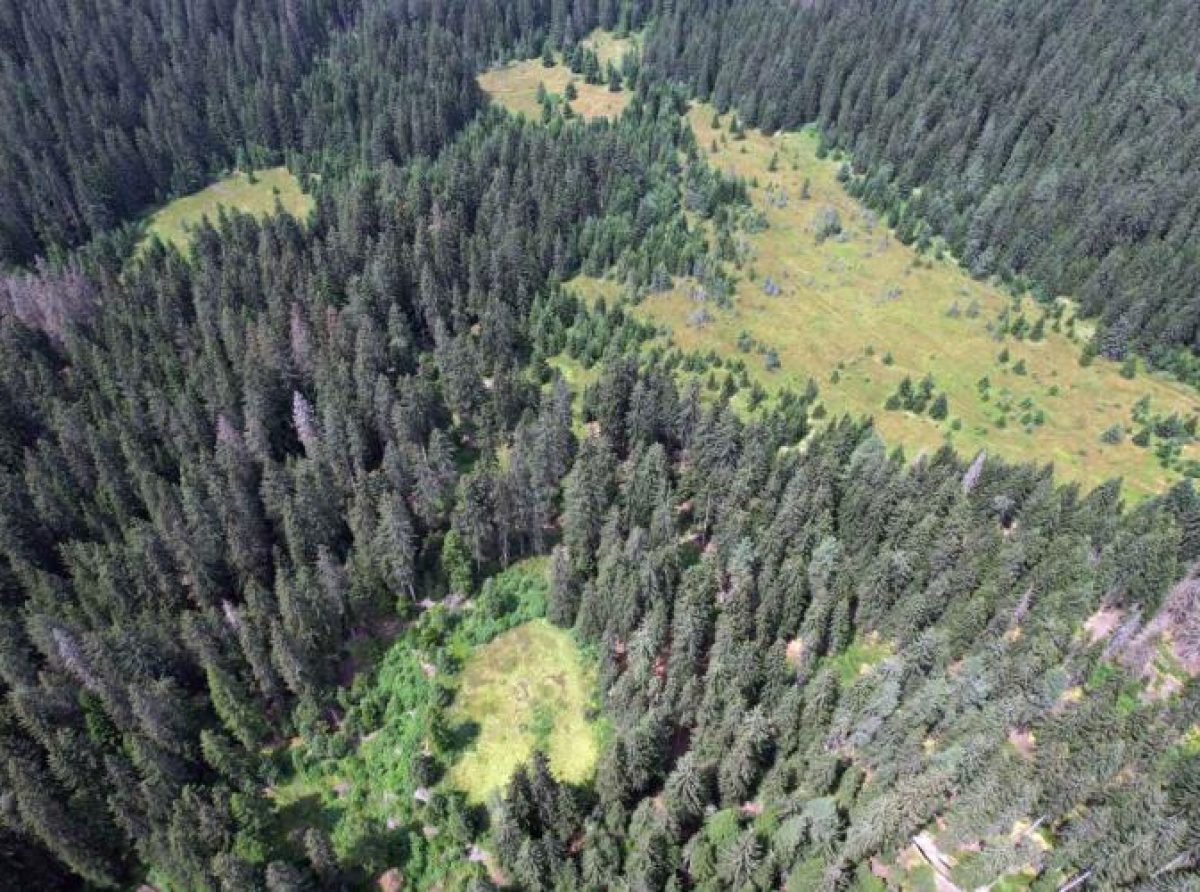 Tresetišta Zaštićenog pejzaža Bijambare – Zavirite u davnu prošlost