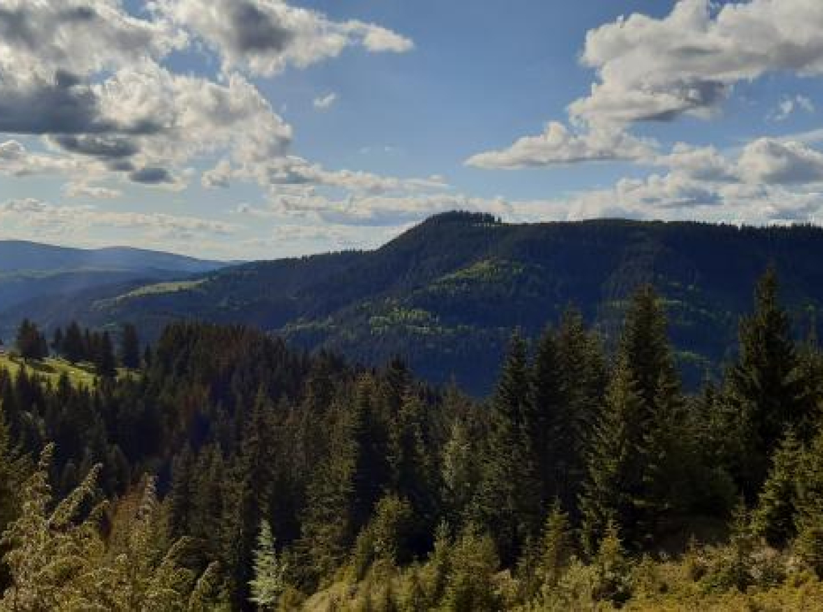 Kakvo nas vrijeme očekuje u novembru i tokom zime