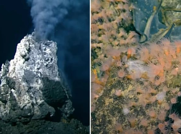 Otkriven drevni podvodni vulkan koji je aktivan i prekriven - džinovskim jajima