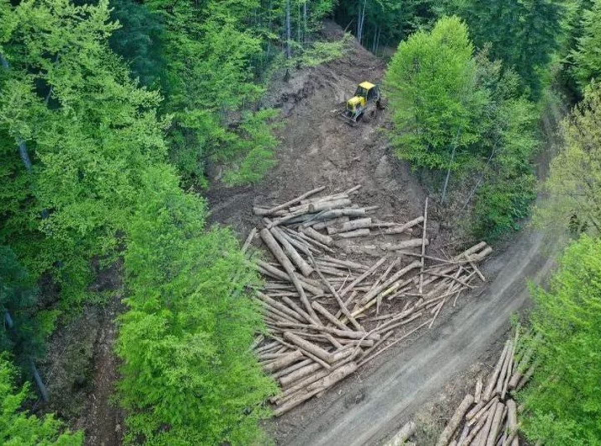 SJEČA ŠUME NA ZAŠTIĆENOM PEJZAŽU KONJUH: ‘Na strani Kladnja nema rampe, video nadzora, niti nadzornici kontrolišu kamione’