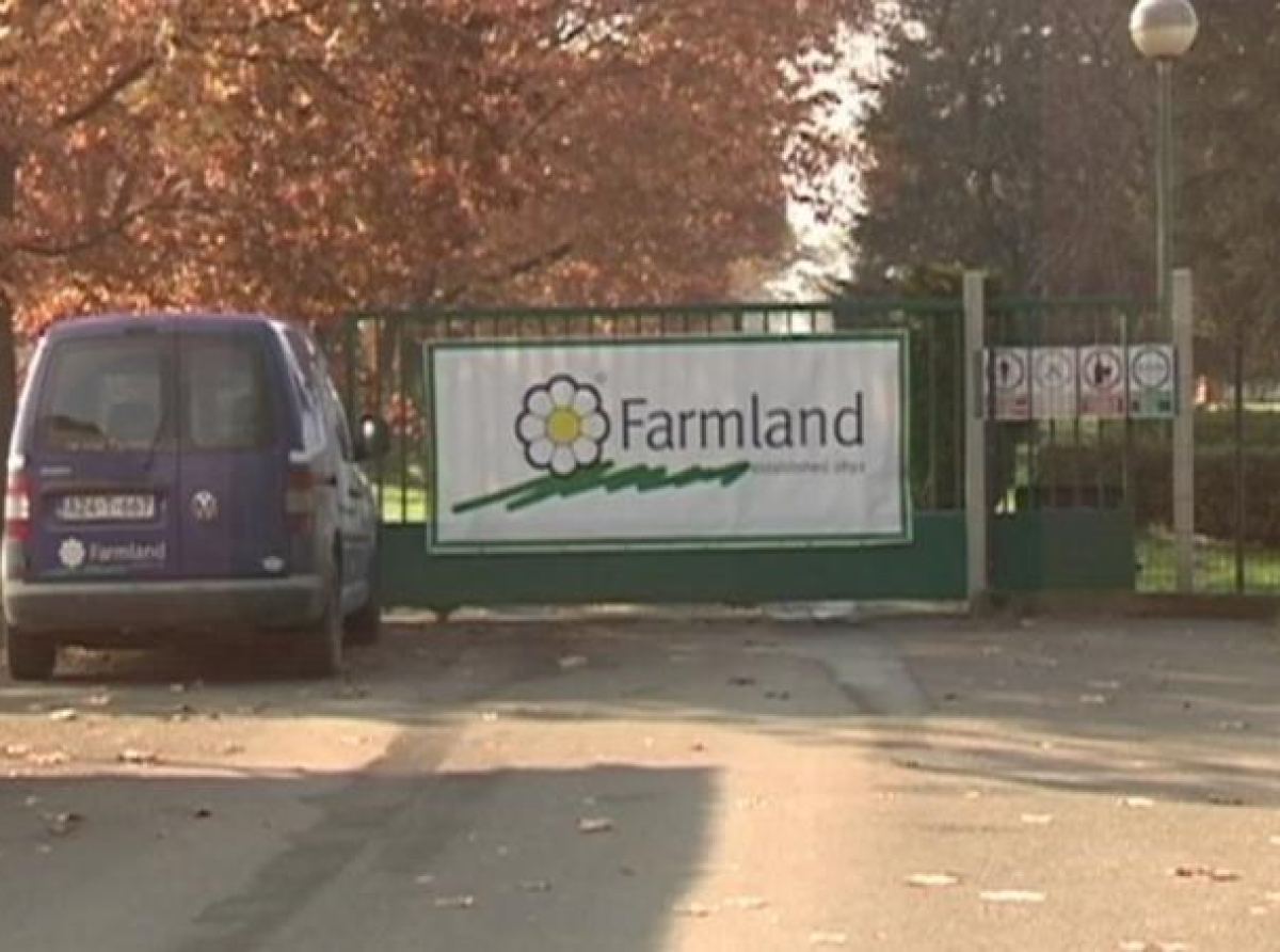 Zašto je Stevanović kupio propalu firmu &quot;Farmland&quot;?