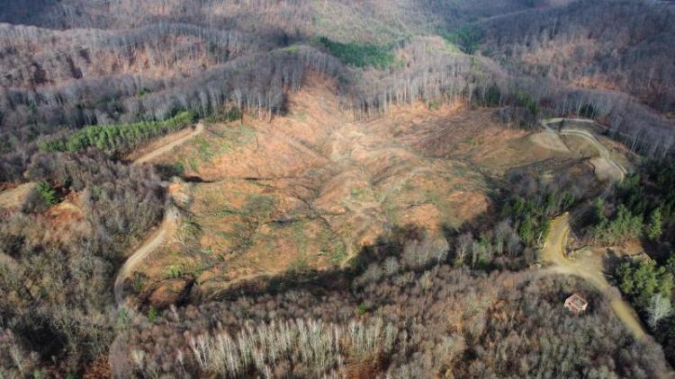 Ekocid u Tešnju: Osamnaest hektara državne šume pretvoreno u deponiju