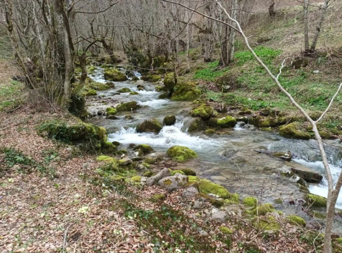 Vodenica stara 100 godina mogla bi prestati s radom: “Hranila je mnoge porodice, sada hoće da unište sve”