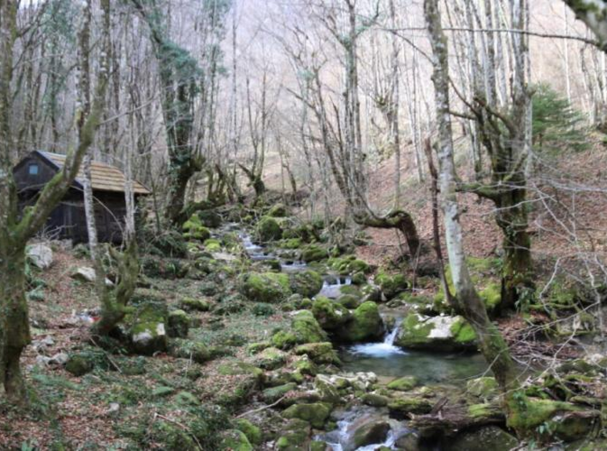 Rekordan broj brana i drugih prepreka je uklonjen u Evropi prošle godine 