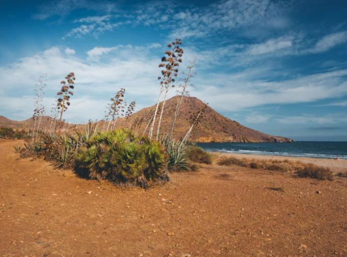 Finansiranje borbe protiv klimatskih promjena ispunjeno sa dvije godine zakašnjenja