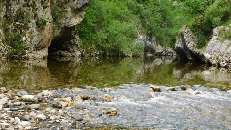 AFP: Balkanskim rijekama prijeti nepovratna šteta od hidroelektrana