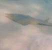 Izumrla jadranska vrsta morskog psa pronađena u Crnom moru