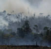 Najgorih šest mjeseci požara u Amazoniji u posljednjih 20 godina