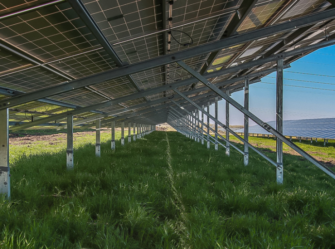 Ovu veliku solarnu elektranu u Mađarskoj naseljavaju ptice, šišmiši i rijetke biljke