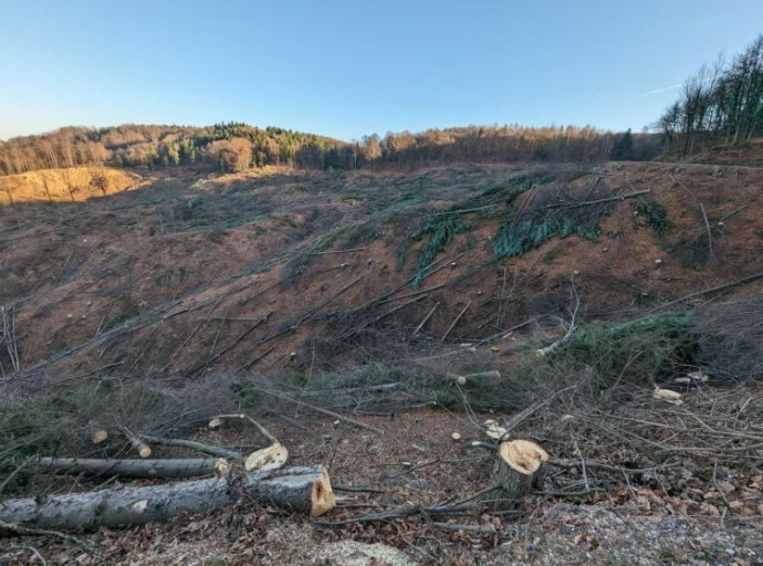 Sječa šume u BiH kao klimatski i ekološki problem