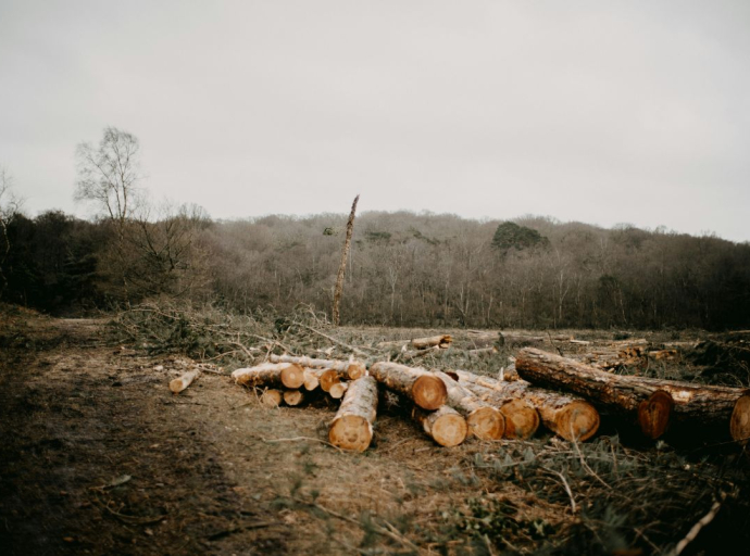 Moćni poljoprivredni lobisti prisiljavaju EU da odustane od borbe protiv deforestacije