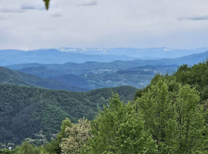 Majevica - Istraživanje biodiverziteta za zaštitu ove planine