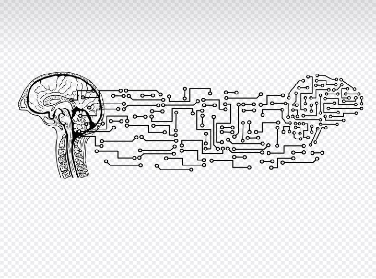 Umjetna inteligencija, sociologija i Uber znanost­­­