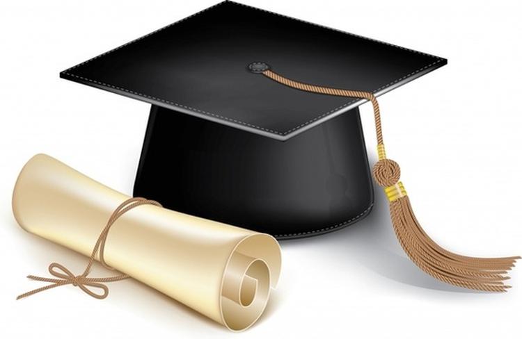 graduation cap and diploma vector 294288