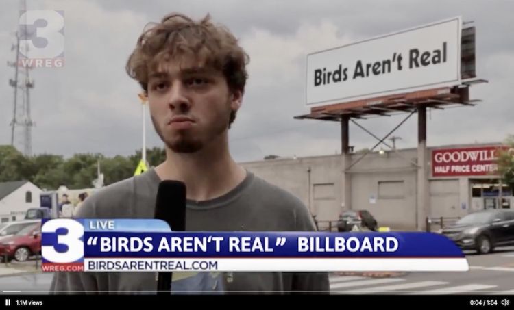 Ptice ne postoje bilbord 01