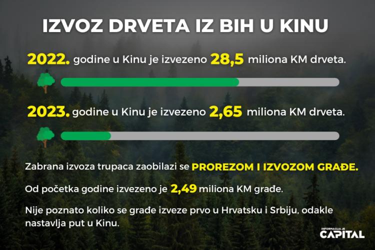 infografika capital kin