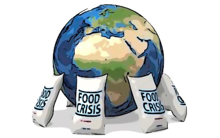 prehrambena kriza 2