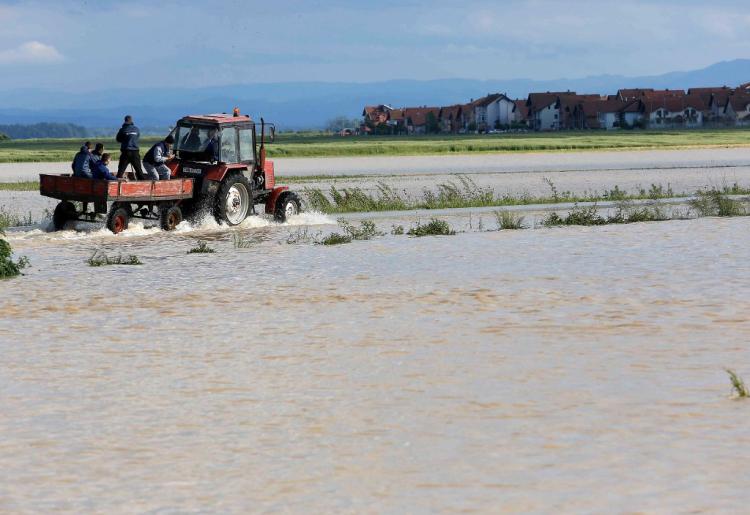 poplave poljoprivreda bih bosna bjeljina afp str 