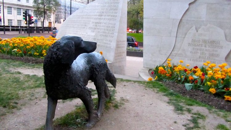 Animals in War memorial taken by Cat Morley 