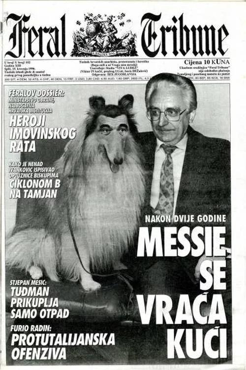 6ferfefefefevelika 11