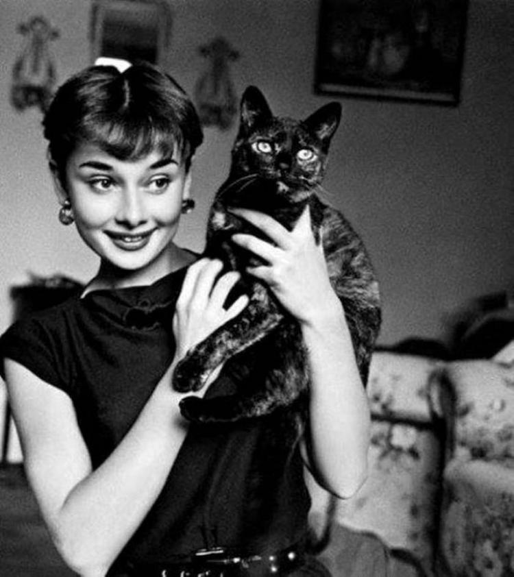 700x786xAudrey Hepburn holds a cat.jpg.pagespeed.ic.3eNXovgz7q