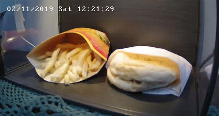 mcdonalds hamburger island odumiranje