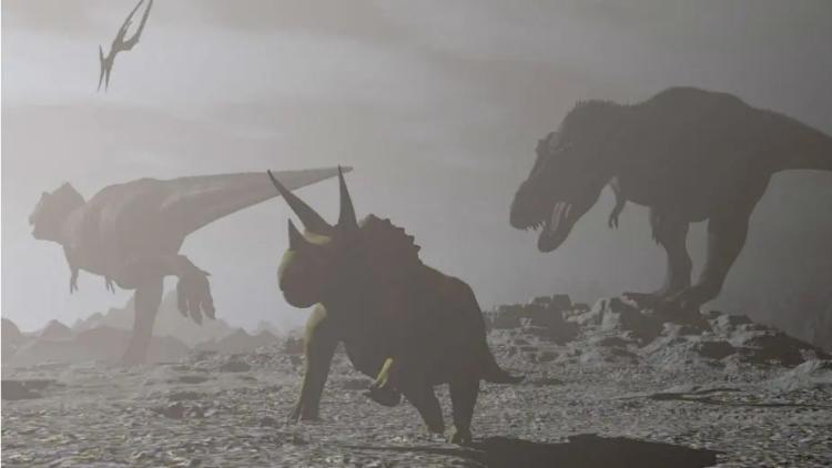 Fosil didnosaurus 55
