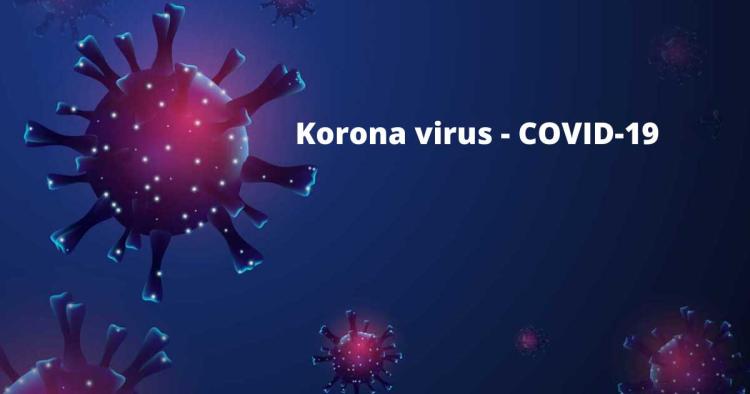 Korona virus COVID 19 web