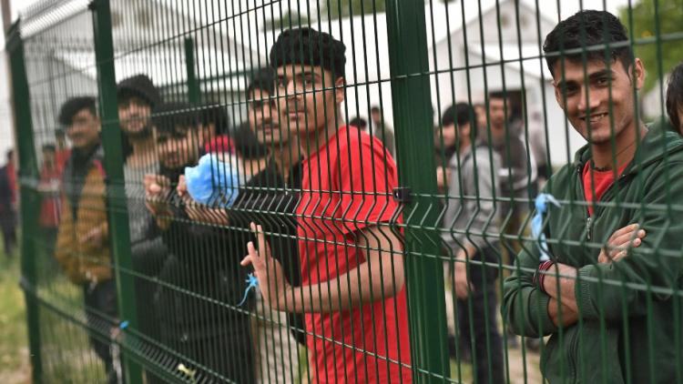 Migranti Srbija Beta Jovo Mamula