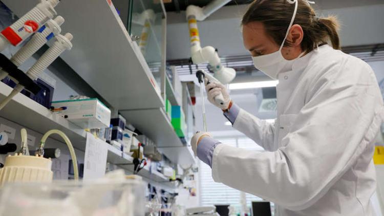 lab