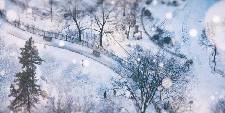 park in snow globe of toronto winterscapes royalty free image 905079336 1542643653