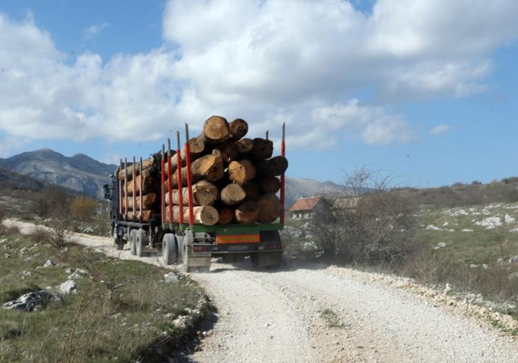 sume balvani Foto