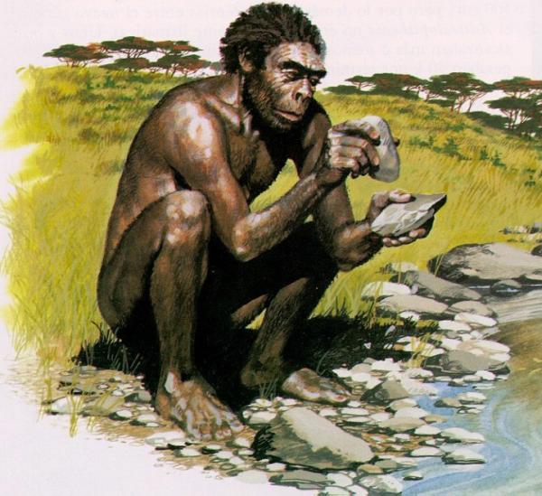 homo habilis 720x659