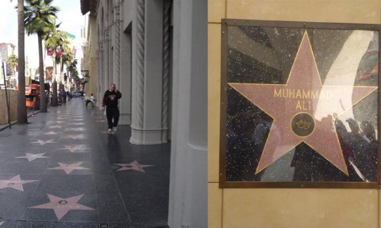 hollywood walk of fame new