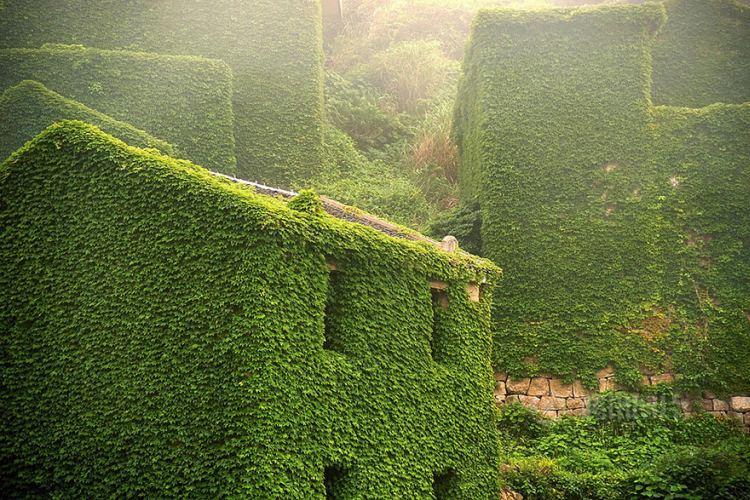 abandoned village zhoushan china 102