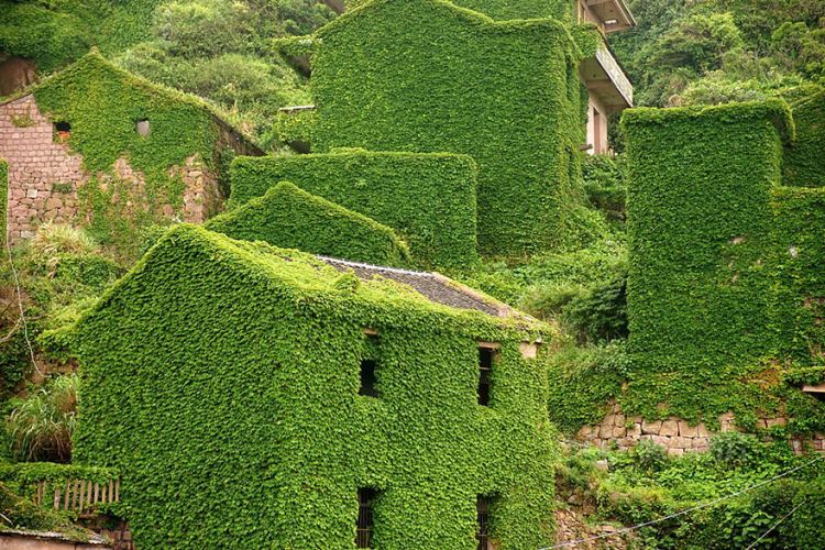 abandoned village zhoushan china 105