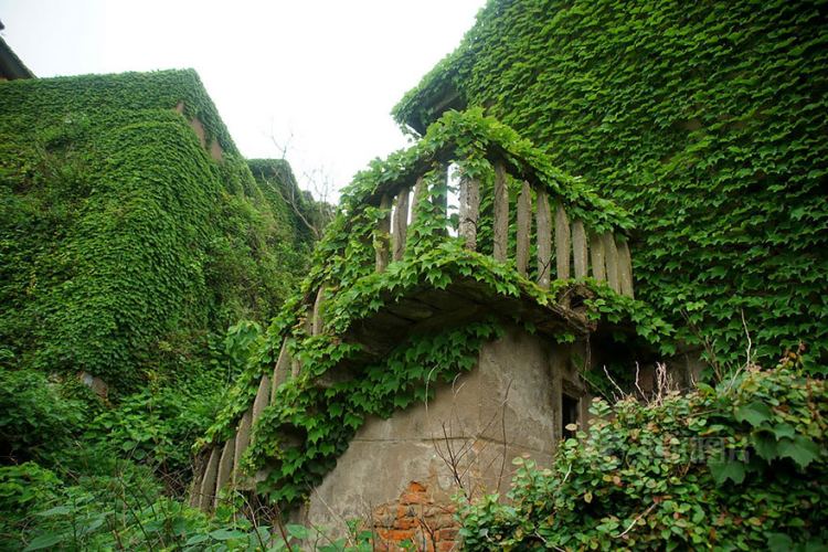 abandoned village zhoushan china 107