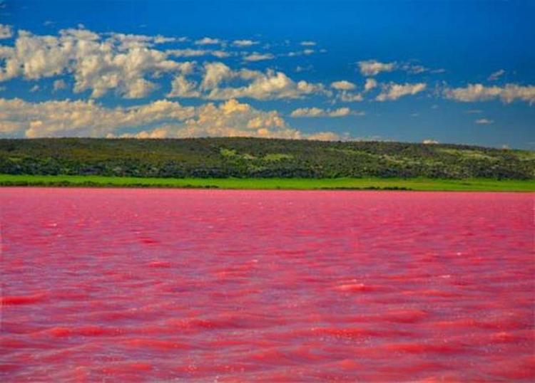 lakehillier21im