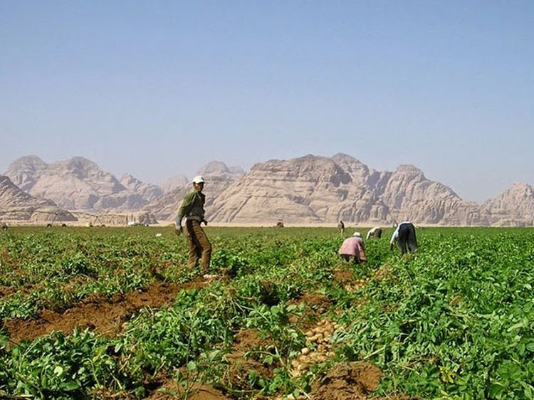 Wadi Rum 4 