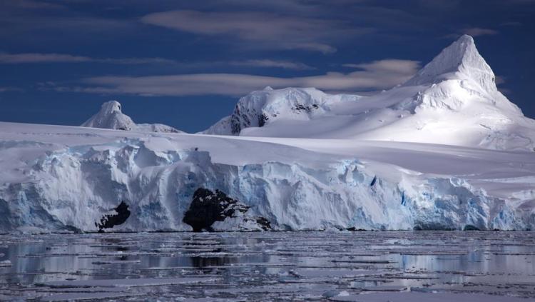 antarctic