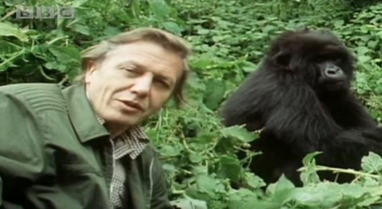 david attenborough 657x360